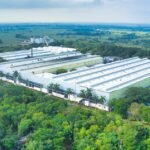 Stellantis Takes Full Ownership of Its India Operations